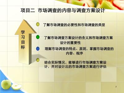 市場(chǎng)調(diào)查與預(yù)測(cè) 項(xiàng)目二的實(shí)踐指南
